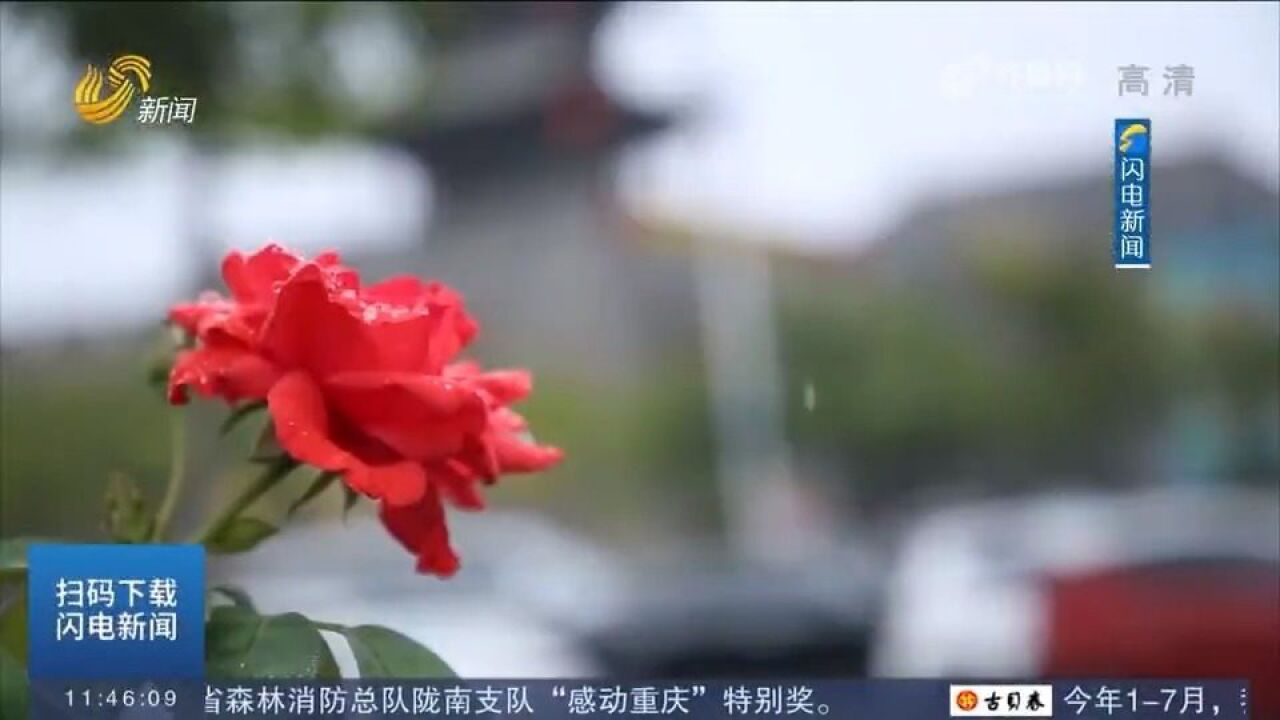 山东中南部出现明显降雨,局地降下暴雨,最高气温降至2325℃