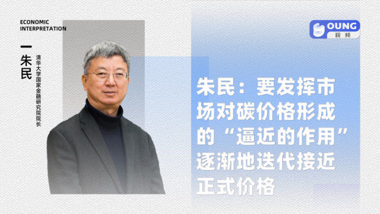 朱民:要发挥市场对碳价格形成的“逼近的作用”,逐渐地迭代接近正式价格