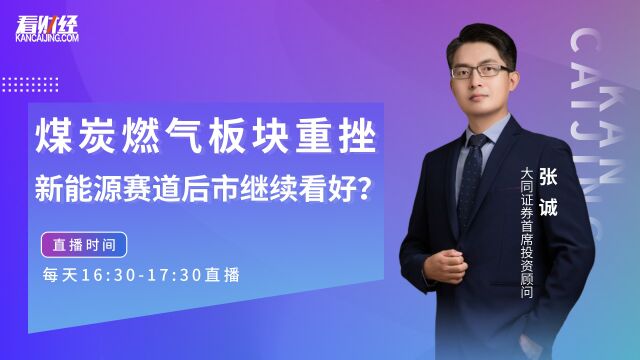 大同证券首席投顾张诚:煤炭燃气板块重挫,新能源赛道后市看好?