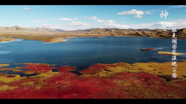 抗疫有我 文明居家|系列活动【二】云游海西——各地必游景区景点推介