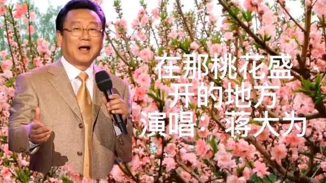 《在那桃花盛开的地方》演唱:蒋大为