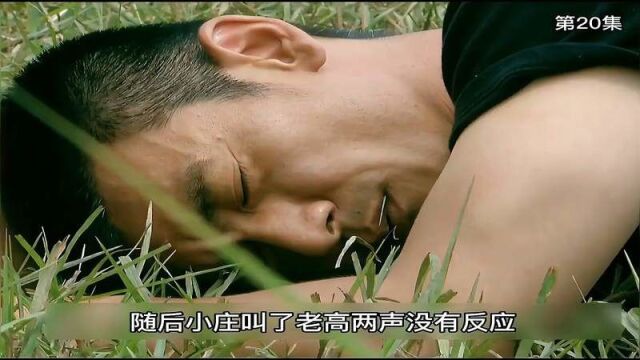 老高的套路太深了,冬眠的蛇爱咬人.卧底 @抖音小助手,犯罪片1