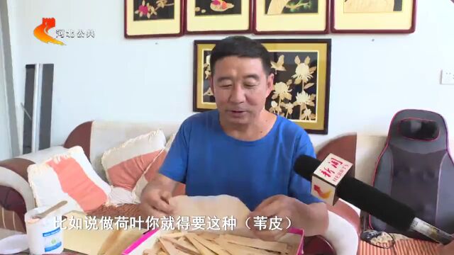 白洋淀:芦苇“画”出水乡风情