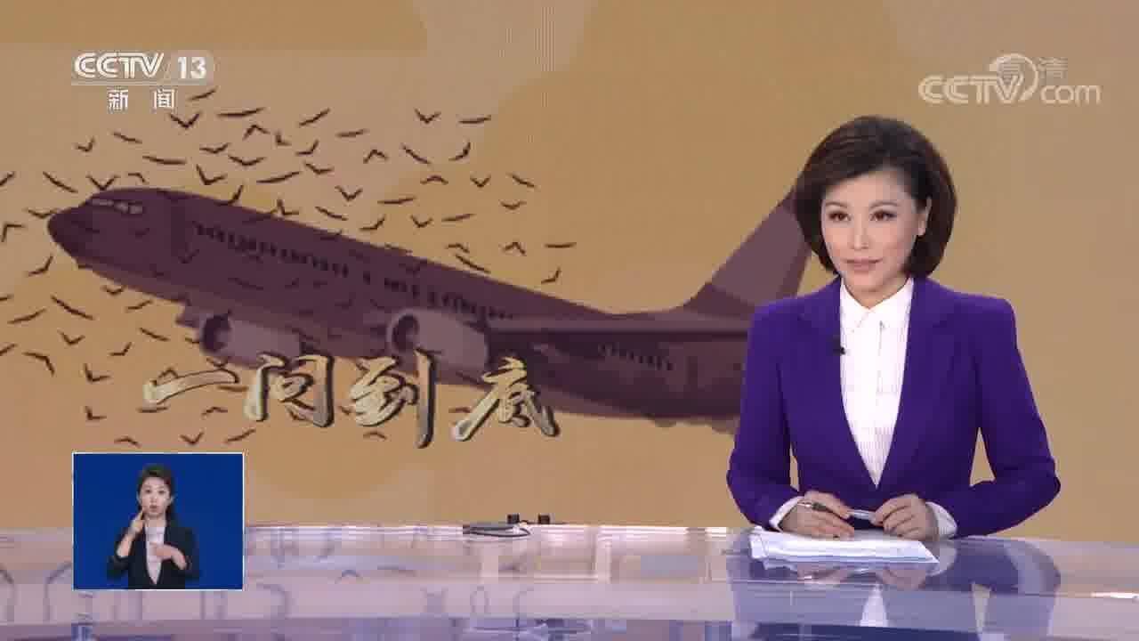 美军机与飞鸟相撞后坠入居民区 一问到底:小鸟破坏力为何如此巨大?