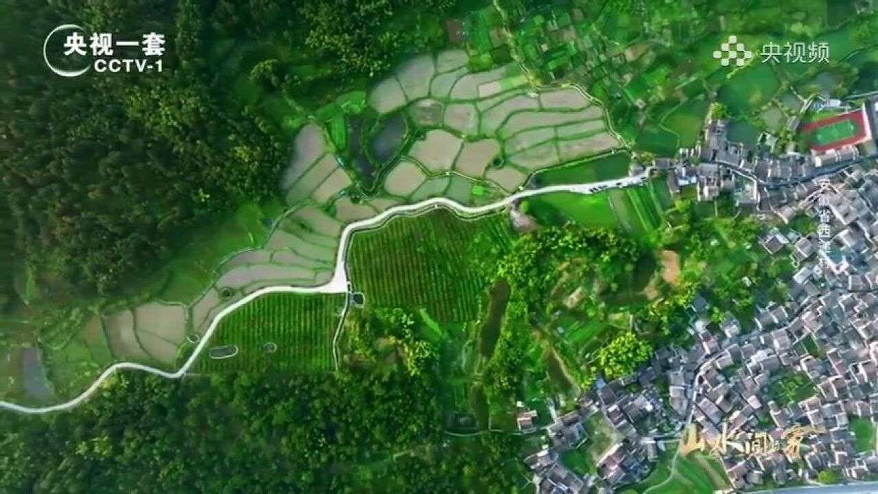 来欣赏!中国乡村风景可以洗眼睛