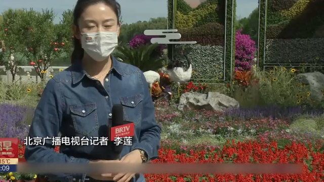 北京市属公园22组花坛大美亮相