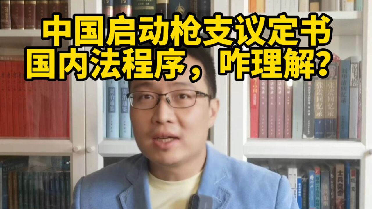 中国启动《枪支议定书》国内法程序,怎么理解?能考枪证了?