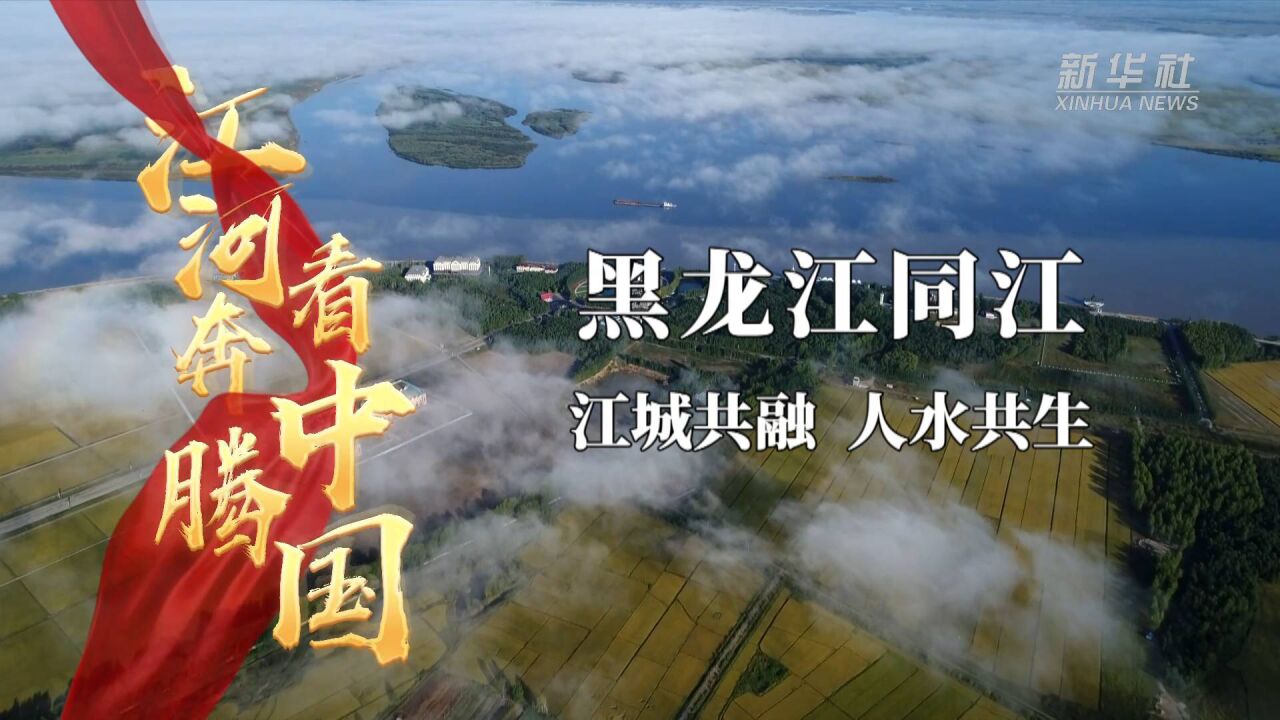 江河奔腾看中国ⷦ𞨊𑦱Ÿ行|黑龙江同江:江城共融 人水共生