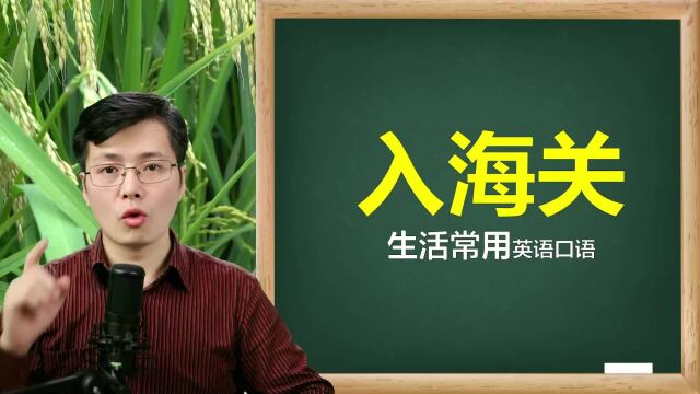 入海关,会用到哪些英语口语?这些句子很常见,掌握听说