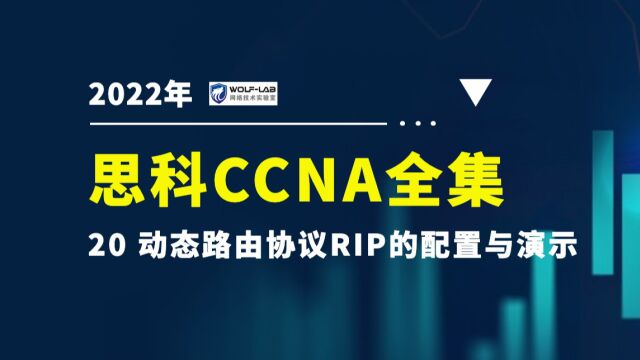 WOLFLAB网络实验室杨广成20动态路由协议RIP的配置与演示