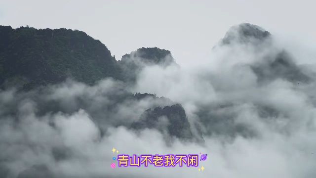 青山不老我不闲,一生忙碌为油盐.风风雨雨几十载,转眼黄土埋胸前.我笑青山颜不变,青山笑我已暮年.若非四海江湖梦 ,一缕清魂向苍天