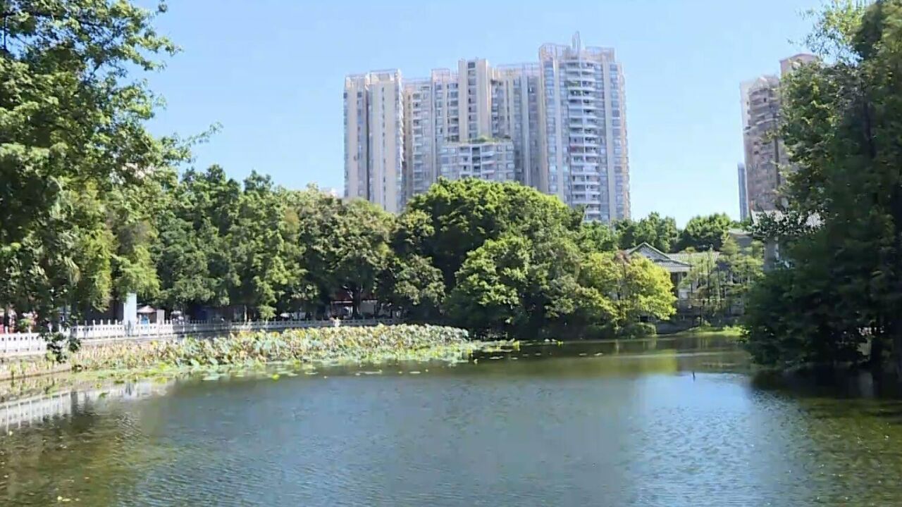 好消息!广州荔湾湖环湖碧道首期完工 ,全新环境吸引市民打卡