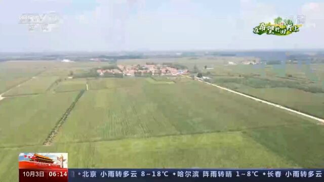 托普云农助力山东乐陵,打造高标准农田核心示范区