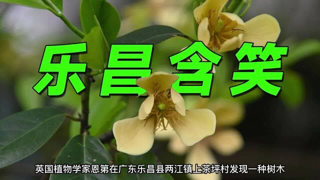 以县市命名的植物(品种),有哪些?