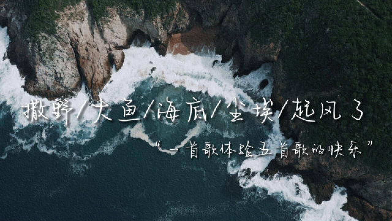 【撒野x大鱼x海底x起风了x尘埃】是你爱的海系列主题串烧吗?