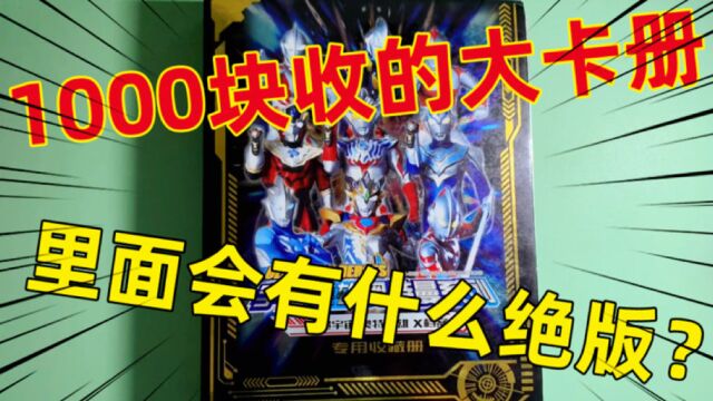 花1000收本退坑大卡册,里面有什么绝版卡?我到底是赚了还亏了?