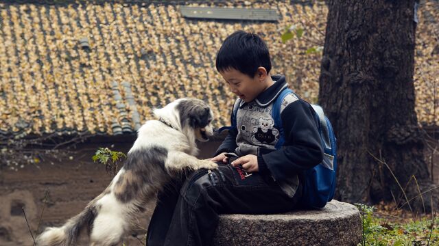 《念书的孩子2》6:中国版一条狗的使命.