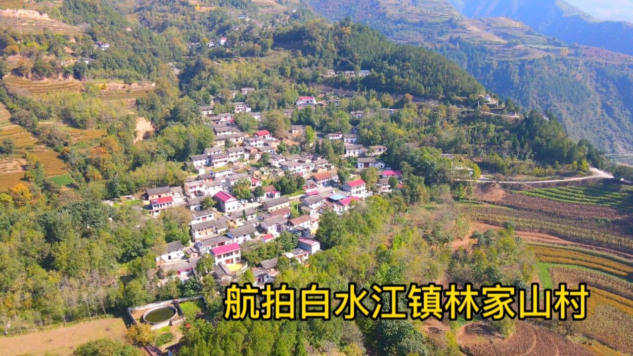 航拍秦岭:略阳白水江镇林家山,小村依山傍水,一个安静的小村庄