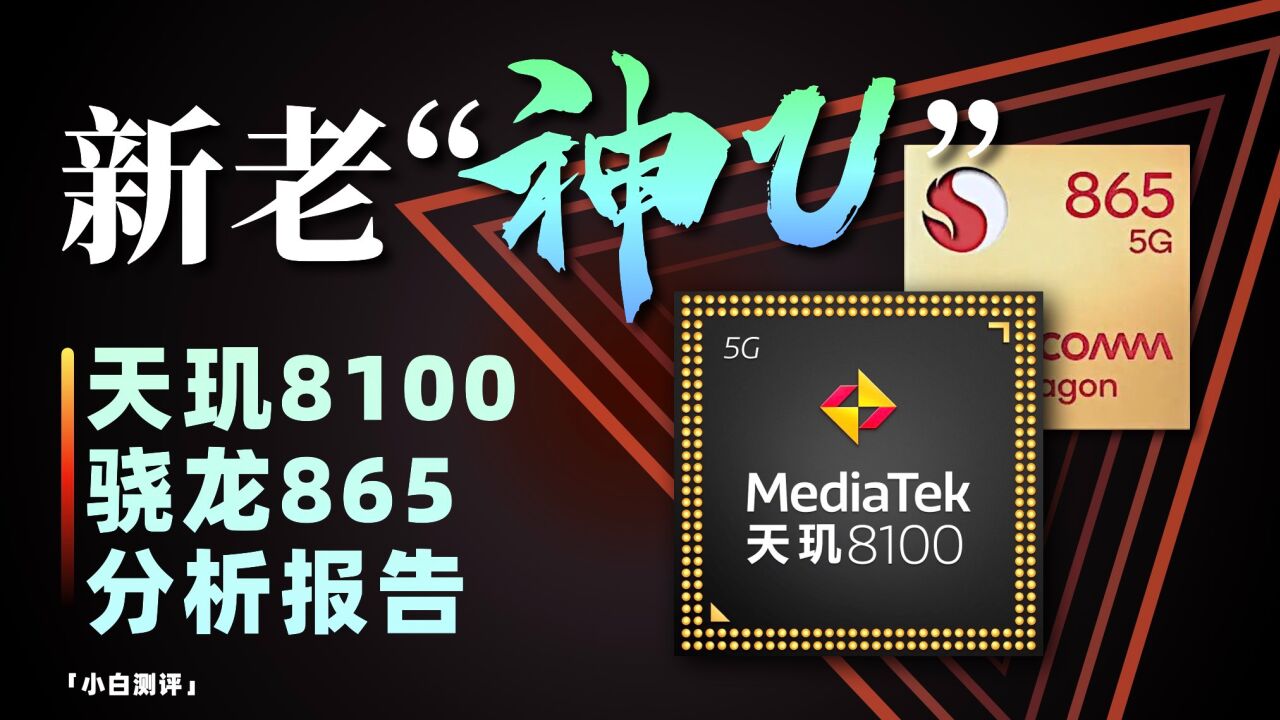 「小白」骁龙865&天玑8100分析报告:神U到底神在哪?