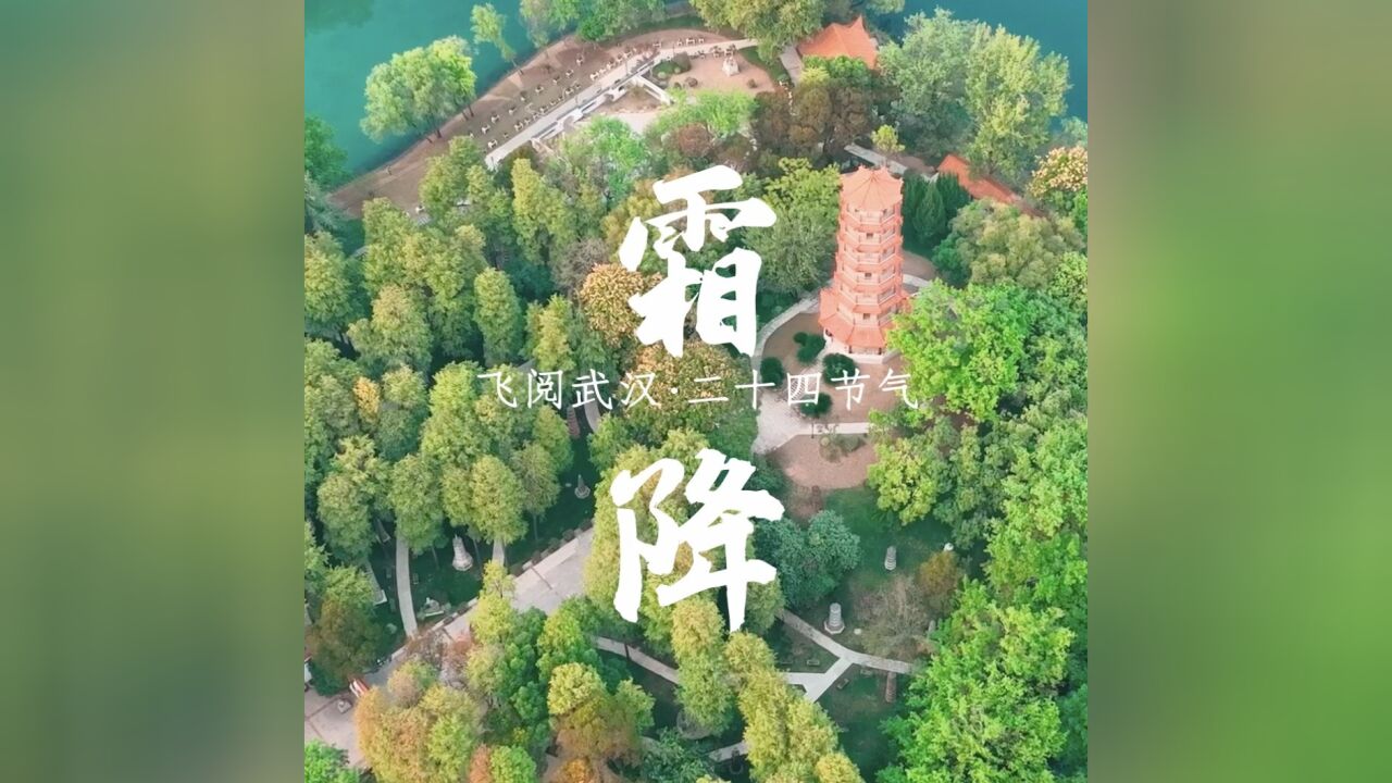 飞阅武汉ⷮŠ二十四节气 | 霜降:人间秋晚,岁有清欢