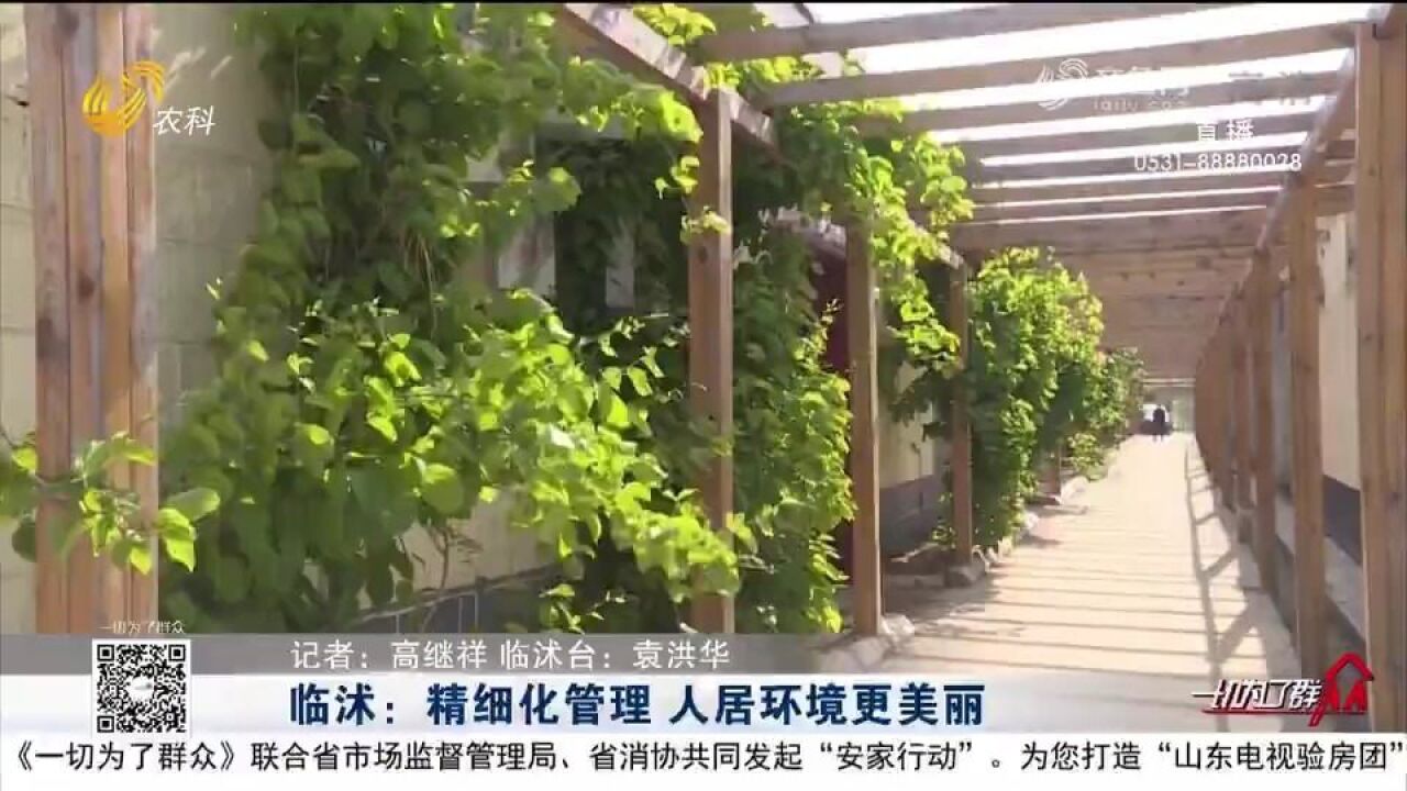 修剪树木、平整道路,临沭多措并举推进精细化管理,建设美丽家园