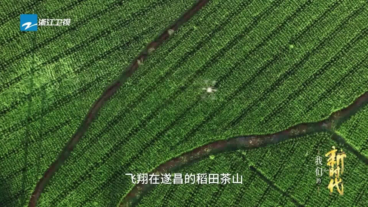 无人机打开了抬头望天的种地新体验|浙江广电集团时代主题大片《我们的新时代》开播