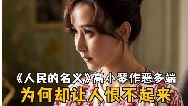 《人民的名义》为什么高小琴作恶多端,却让人恨不起来?