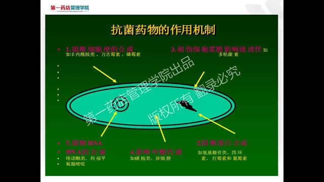 抗生素的合理使用1——抗生素类的概述