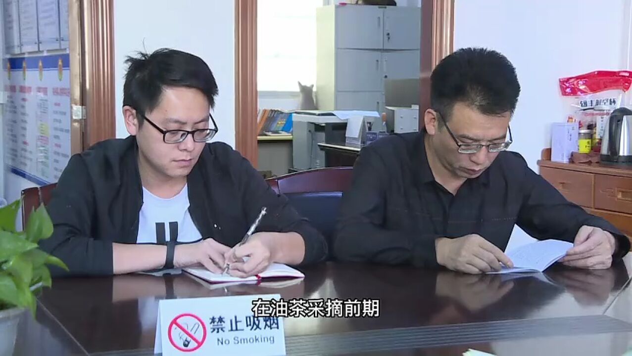 龙川公安全力护航采摘秩序,助力油茶丰收