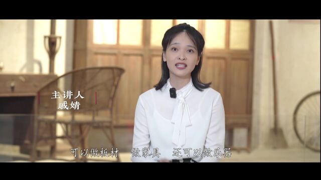 裕禄讲堂 | 微视频《你“不知道”的焦裕禄》——焦裕禄的种树情缘