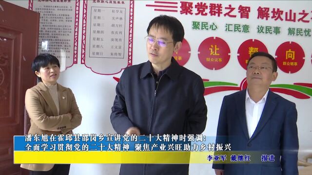 潘东旭在霍邱县邵岗乡宣讲党的二十大精神