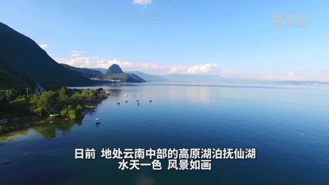 云南抚仙湖湿地风景如画