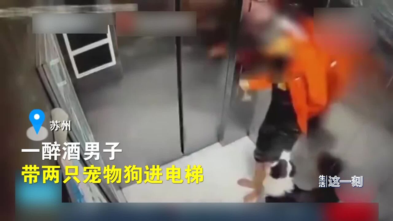 男子酒后进电梯致狗死亡 专家解读:电梯光幕不能检测狗绳