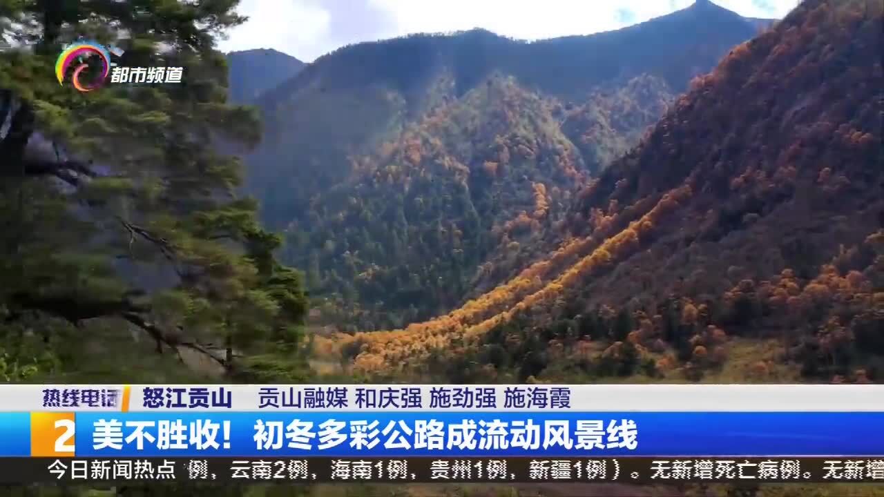 美不胜收!初冬多彩公路成流动风景线