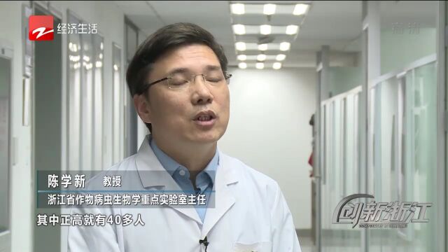 【创新浙江】浙江省重点实验室二:为大农业生产保驾护航