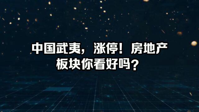 中国武夷涨停!房地产版块你看好吗?