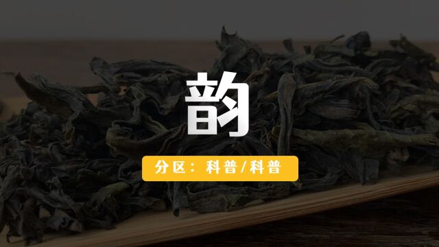 【五问五答】茶的「韵」,如何喝出韵味.