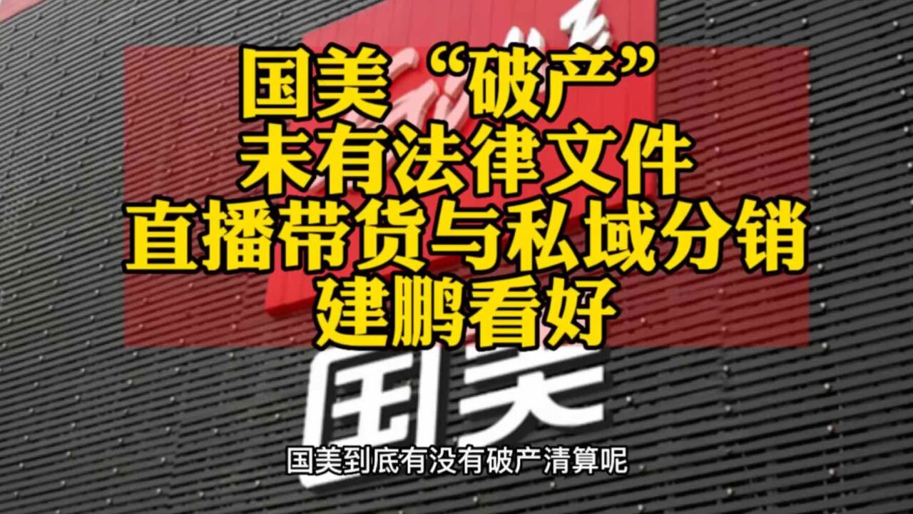 建鹏说国美“破产未遂”,直播带货与私域将被看好