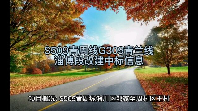 S509青周线G309青兰线淄博段改建中标信息