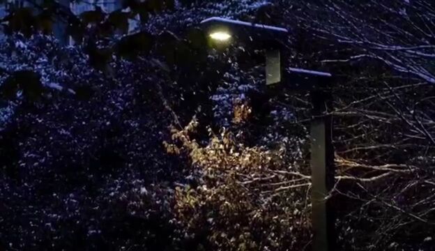 全西安的雪,都下在了这篇文章里