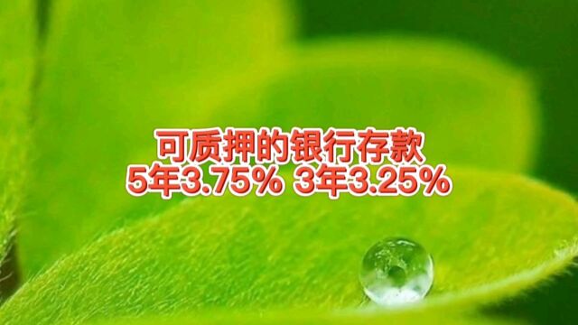 可质押的银行存款,5年期利率3.75%,3年3.25%,灵活存取大银行