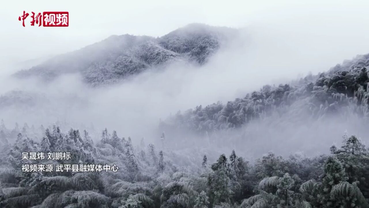 受冷空气影响福建云华山迎今冬首场雨凇