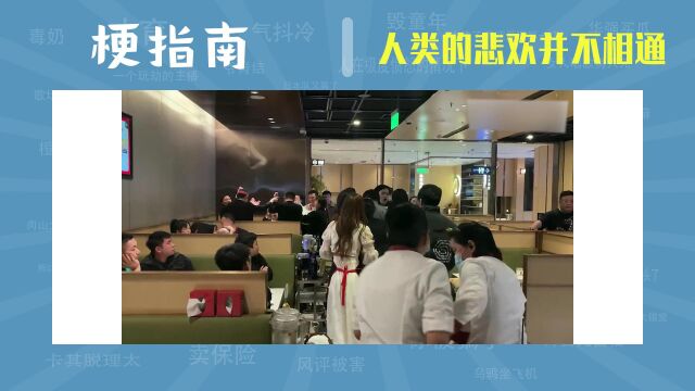 【梗指南】人类的悲欢并不相通是什么梗