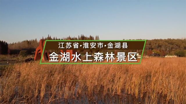 江苏省淮安市金湖水上森林