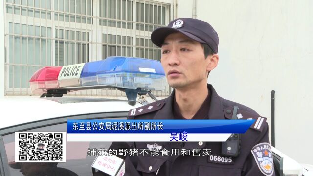 池州公安交警高速三大队:护航平安路 让出行更美好 |《池州警讯》二百九十七期