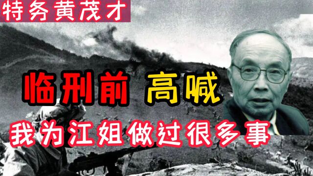 1951年,特务黄茂才被判处枪决,临刑前高喊曾为江姐做了很多事