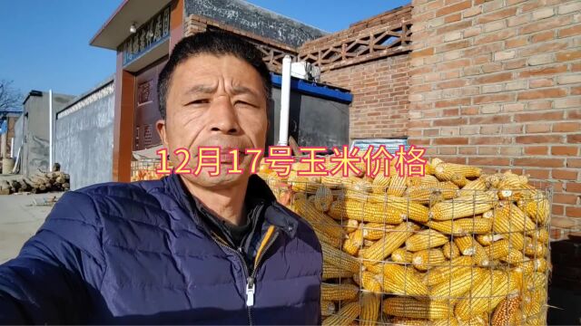 12月17号,行唐农户手中的玉米最新价格,又上涨了几分