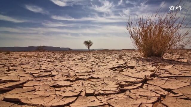 强冷空气“到货” 江西明晨最低气温4℃左右