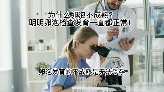 为什么卵泡不成熟?明明卵泡检查发育一直都正常!