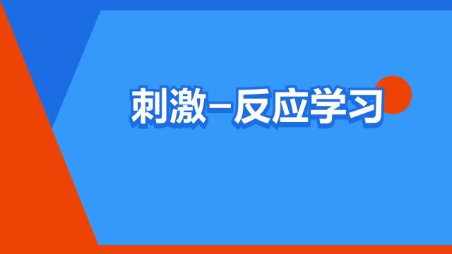 “刺激反应学习”是什么意思?